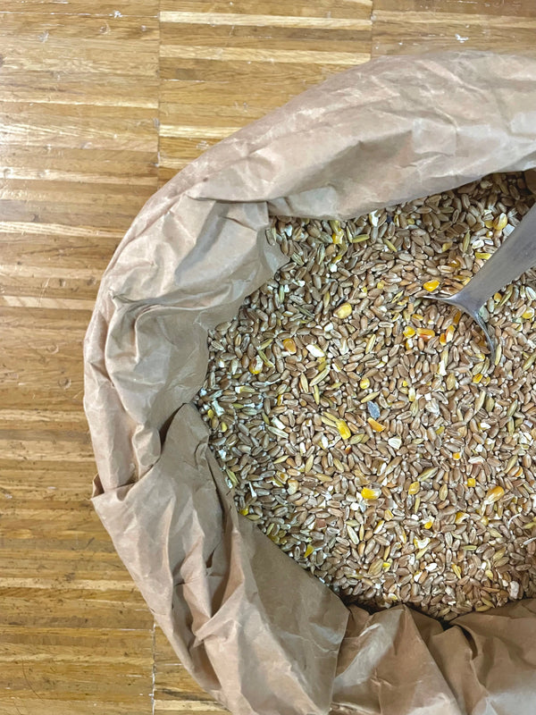 Futtergetreide / Futtermischung