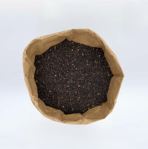 Rapssamen - Therapieraps