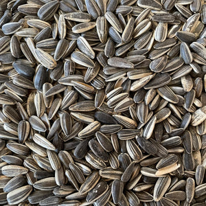 Sonnenblumenkerne