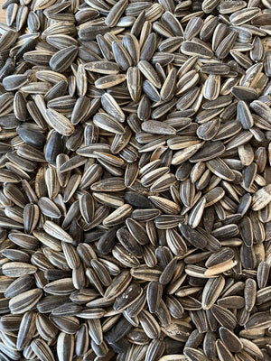 Sonnenblumenkerne